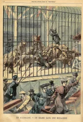 Una domadora es devorada por sus leones en una menagerie en Dessau, Alemania. Grabado en "Le Petite Parisien", el 27/12/1903.