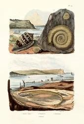 Almirante Cone, 1833-39