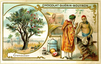Cromolitografía publicitaria de chocolates Guérin Boutron