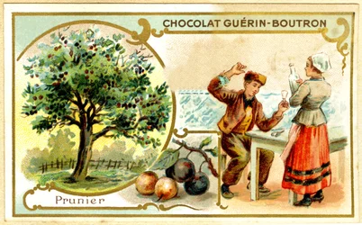 Cromolitografía publicitaria de chocolates Guérin Boutron