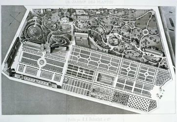 Vista aérea del plan del Jardin des Plantes en París, 1842
