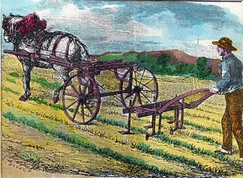 Agricultura: una de las primeras azadas mecánicas, con tracción animal, utilizada en un campo de remolacha.