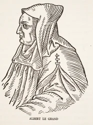 Alberto Magno