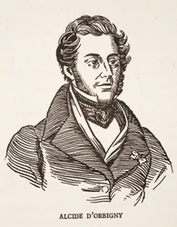 Alcide dOrbigny