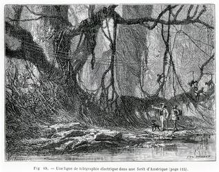 Una línea de telégrafo eléctrico en un bosque americano, c.1870