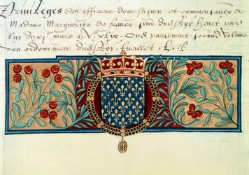 Armas de Francia (rodeadas por el collar de la Orden de San Miguel y coronadas por la corona real)