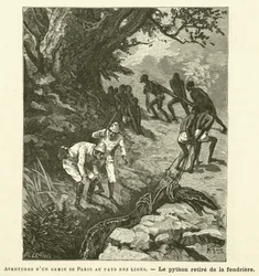 Aventuras de un niño de París en el país de los leones