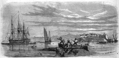 Bebé recogido por los musgos de la escuela fragata Thetis. Brest (Finistere, 29)