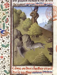 Caza de tejones - en "Libro de Caza de Gaston Phoebus, Conde de Foix, Señor de Béarn"