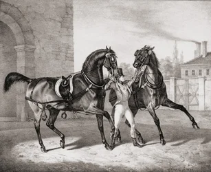 Caballos de Carruaje para el Rey de Inglaterra, 1836