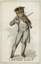 Gato tocando el violín