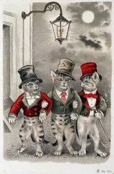 Gatos en situación - postal de principios del siglo XX