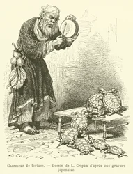 Encantador de tortugas