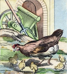 Gallina y pollitos. Grabado en "Buffon Alphabet des Oiseaux n 2". 3ª Serie N 2. Imágenes de Epinal, Epinal, finales del siglo XIX. 16 páginas.