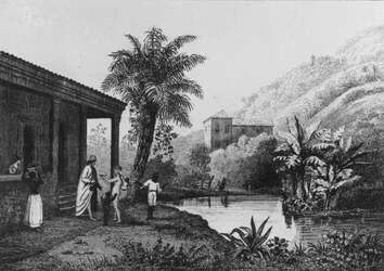 Plantación de Café, de 