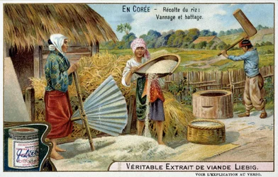 Corea: cosecha de arroz, tejido y trilla - cromo Liébig, c.1900