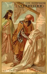 Tejidos de algodón