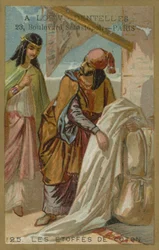 Tejidos de algodón