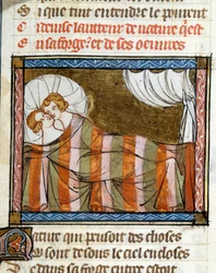 Pareja en la cama. Miniatura tomada de la novela de la rosa de Jean de Meun