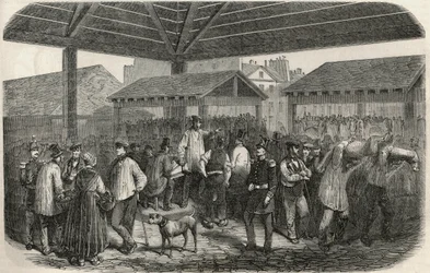 Mercado de carne en la rue des Prouvaires en el I distrito de París - Grabado en “Tableau-de-Paris” de Edmond Texier 1852