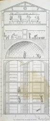 Copa de una bodega en Roquefort