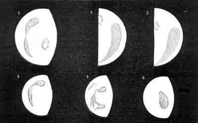 Manchas oscuras y brillantes de Venus; 1, 2, 3, manchas observadas por D. Cassini en 1667; 4, 5, 6, manchas observadas por M. Langdon en 1871 - en “Le Ciel” por Amédée Guillemin