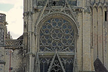 Vista de la ventana de rosa