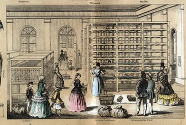 Descripción de la cultura y productos de seda: en el centro la magnanería con las diversas etapas de la sericicultura. Placa 