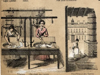 Descripción de la cosecha y productos de la seda: trabajadores hilando seda, quitando o sofocando capullos. Placa “la soie” en “les Recreations instructives” Pintura sinóptica de Jules Delbruck, grabado de 1860.