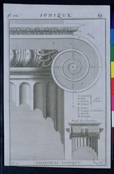 Diseño para el capitel de una columna jónica