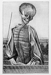 Doctor Muerte, de un Libro de Horas, ilustración de Ciencia y Literatura en la Edad Media y el Renacimiento, escrito y grabado por Paul Lacroix, 1878