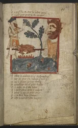 Egerton MS 3028 f.49r de 
