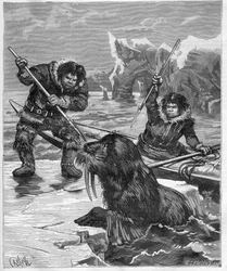 Esquimales - pesca de morsas - Esquimales - pesca de morsas en 1888 - Grabado en 