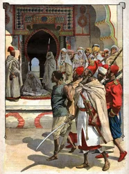 Ejecución del Rogui