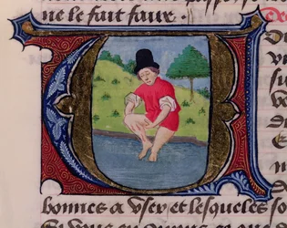 F.27v Sanguijuelas, de Traite de Medecine por Aldebrande de Florencia, 1356