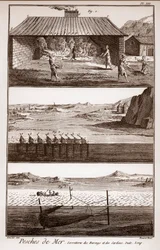 Pesca, arenques y sardinas - “La Gran Enciclopedia, o Diccionario Razonado de las Ciencias, las Artes y los Oficios” por Denis Diderot