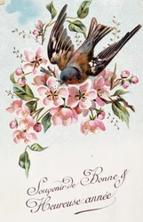 Postal francesa de Año Nuevo con flores y un pájaro