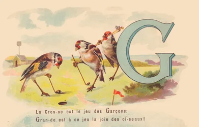 G: El Lacrosse es el juego de los chicos; Grande es en este juego la alegría de los pájaros