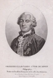 Georges-Louis Leclerc, Conde de Buffon, científico y escritor francés (grabado)