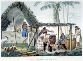 Destilería de la Isla de Guam
