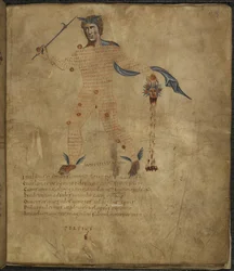 Harley 647, f.4 Ilustración de Perseo, héroe de la mitología griega, con la cabeza de la Medusa con pelo de serpiente, con texto o escolio dentro de la figura de la constelación, de "Arato", de Marco Tulio Cicerón (vitela)
