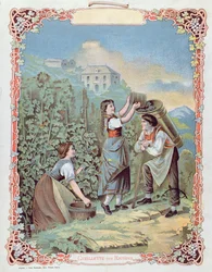 Cosecha de uvas, de un calendario, c.1880