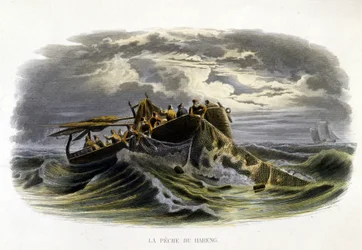 Pesca de arenques - en “Histoire naturelle de Lacepède”