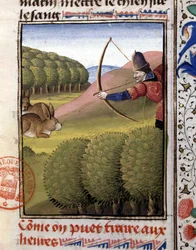 Caza con arco: liebre - en "El libro de caza de Gaston Phoebus, Conde de Foix, Señor de Béarn"