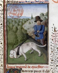 Perro de caza sostenido con una correa de rastreo - en "Libro de Caza de Gaston Phoebus, Conde de Foix, Señor de Béarn"