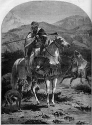 Caza de liebres en Argelia