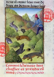 Cazando conejos con perros y redes, del Libro de la Caza por Gaston Phebus, principios del siglo XV