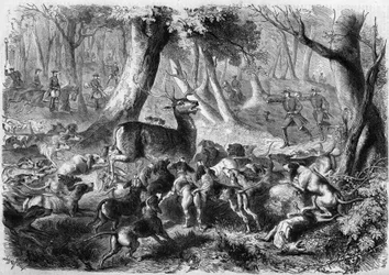 Escena de caza