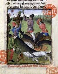Escena de caza: la parte del ciervo para la jauría de perros - en "El Libro de Caza de Gaston Phoebus, Conde de Foix, Señor de Béarn"