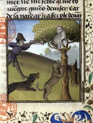 Escena de caza con un lince - en "Libro de Caza de Gaston Phoebus, Conde de Foix, Señor de Béarn"